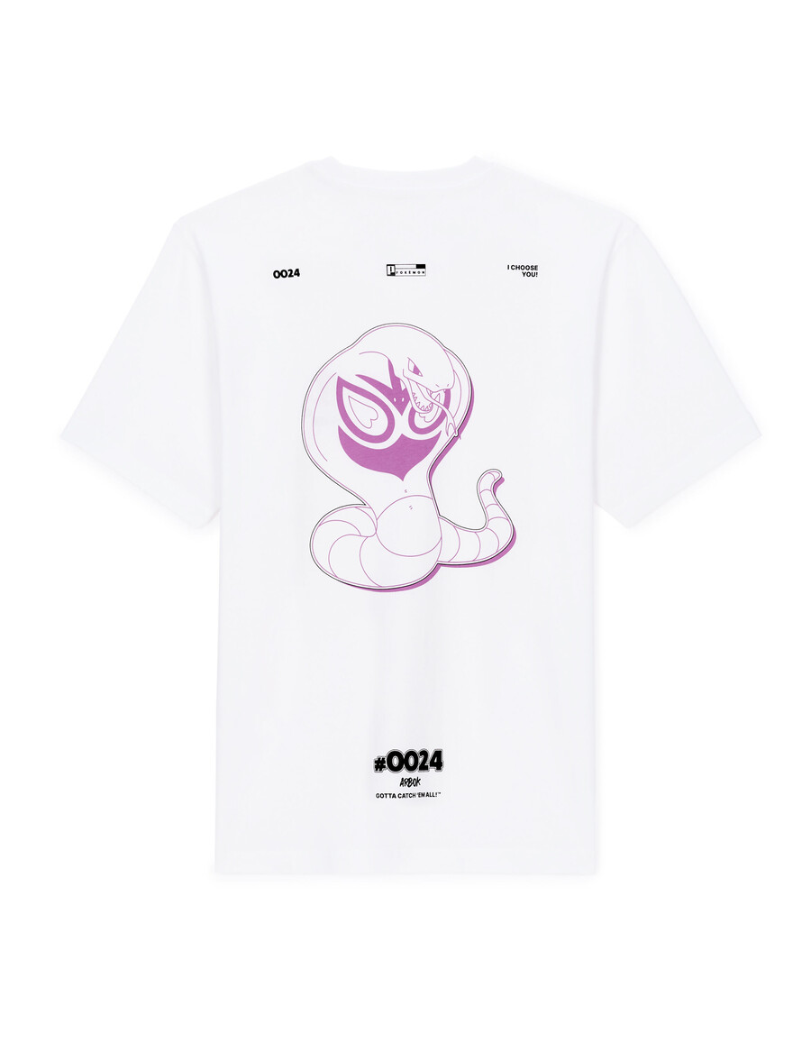 pokémon
