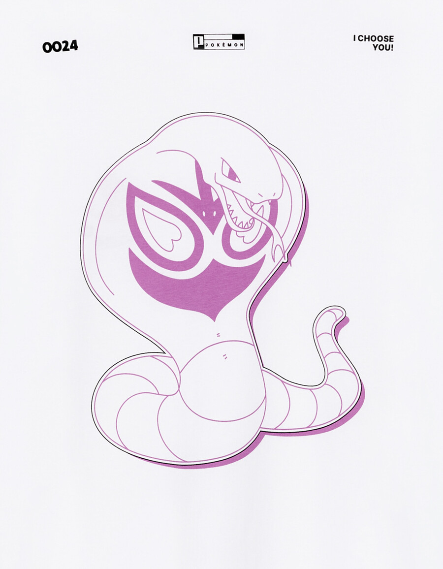 pokémon