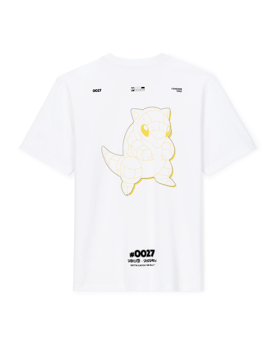 pokémon