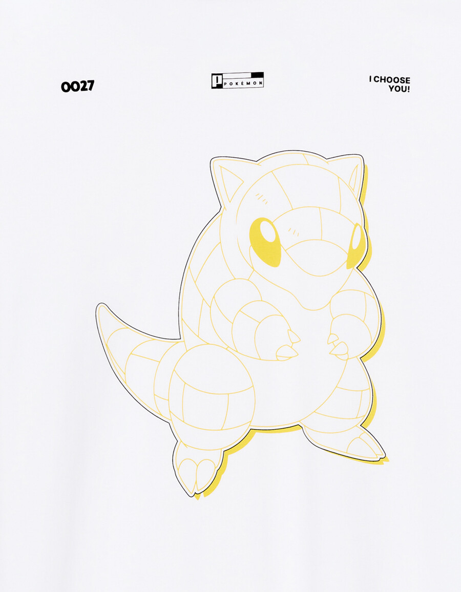 pokémon