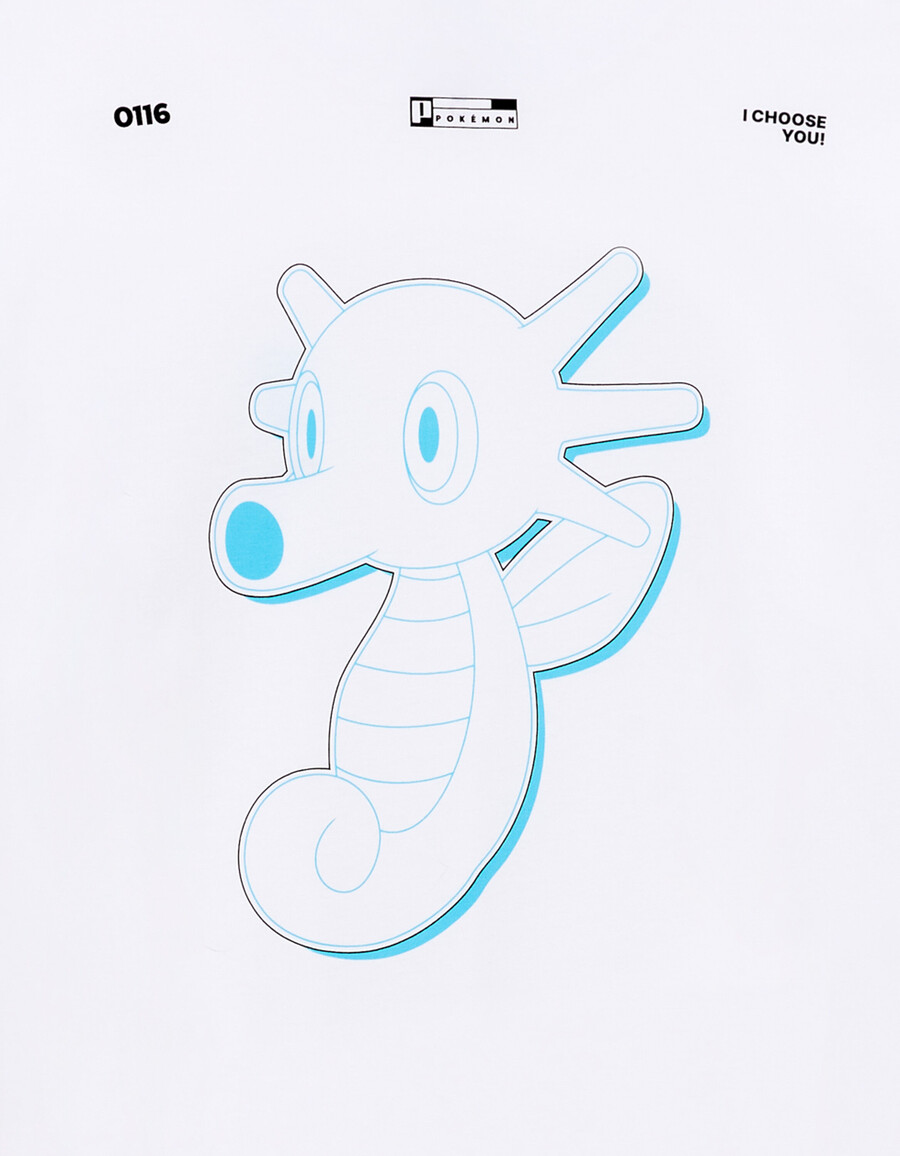 pokémon