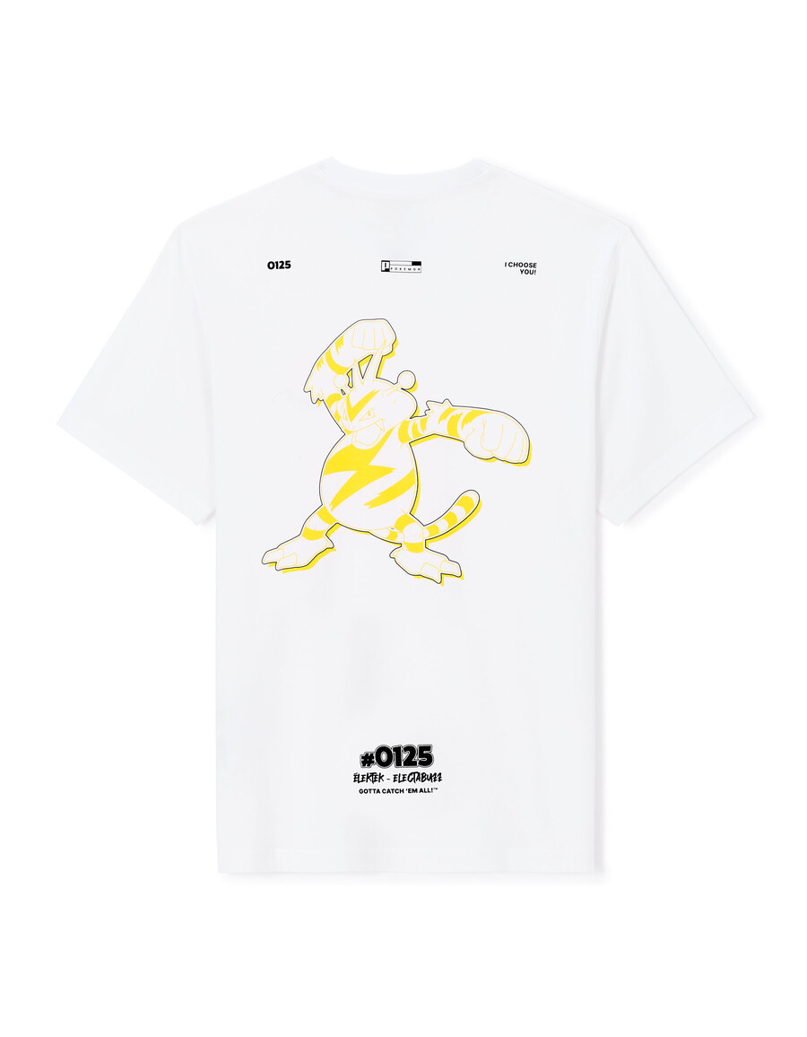 pokémon