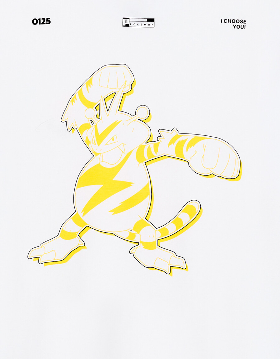 pokémon