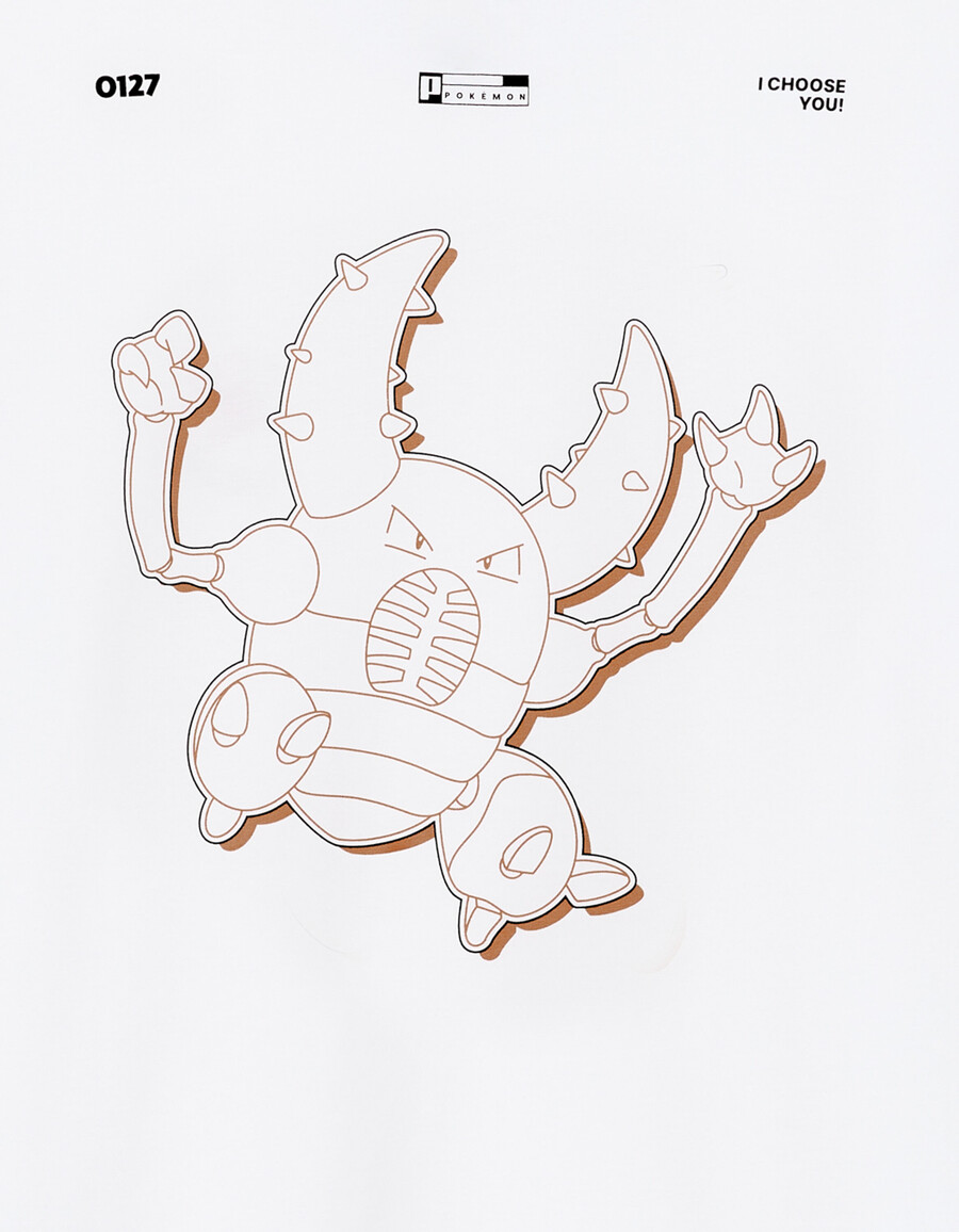 pokémon