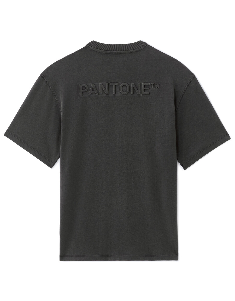 pantone
