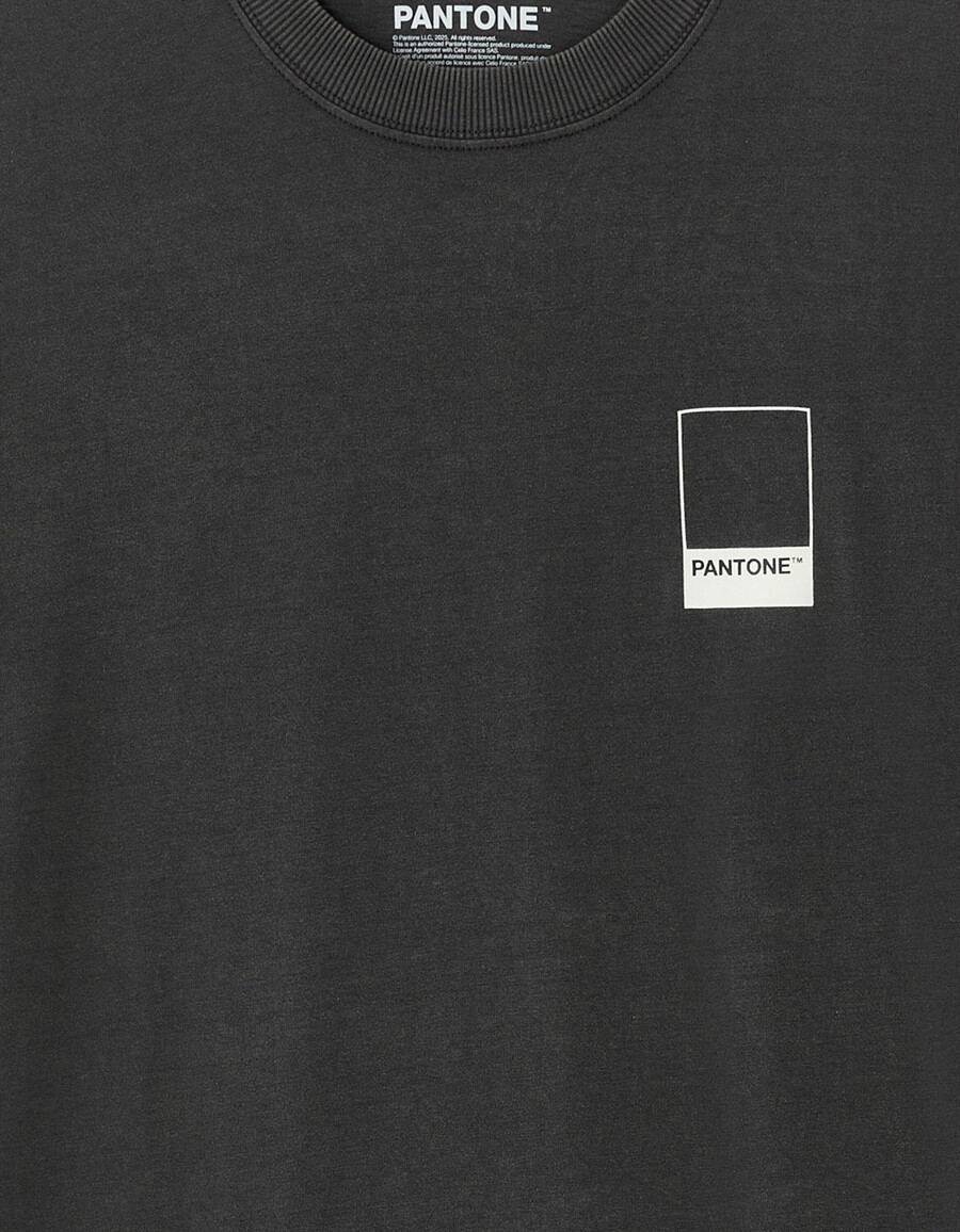 pantone