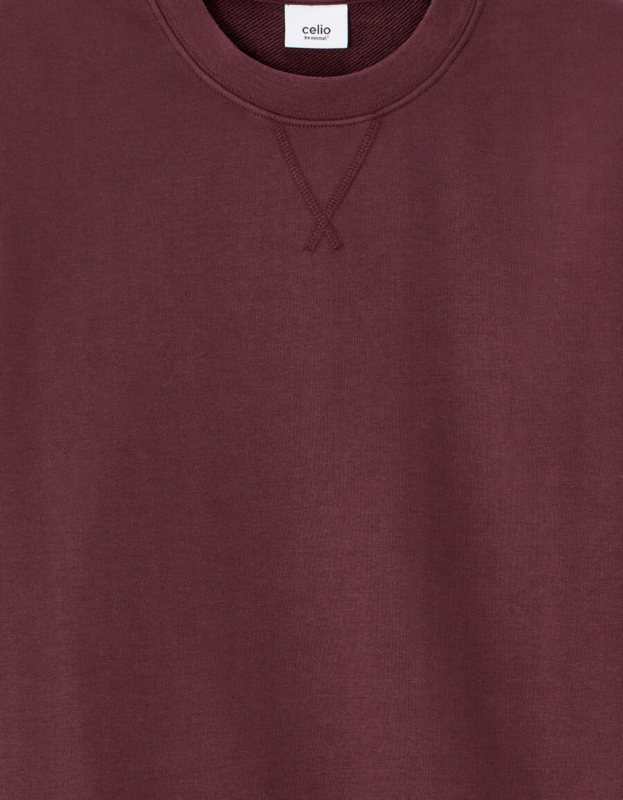normales rundhals-sweatshirt aus 100 baumwolle